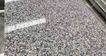 娄底 芙蓉白光面