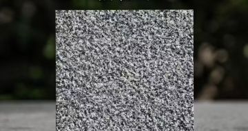 娄底 芝麻黑荔枝面