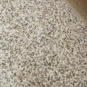 娄底 黄金麻中黄光面