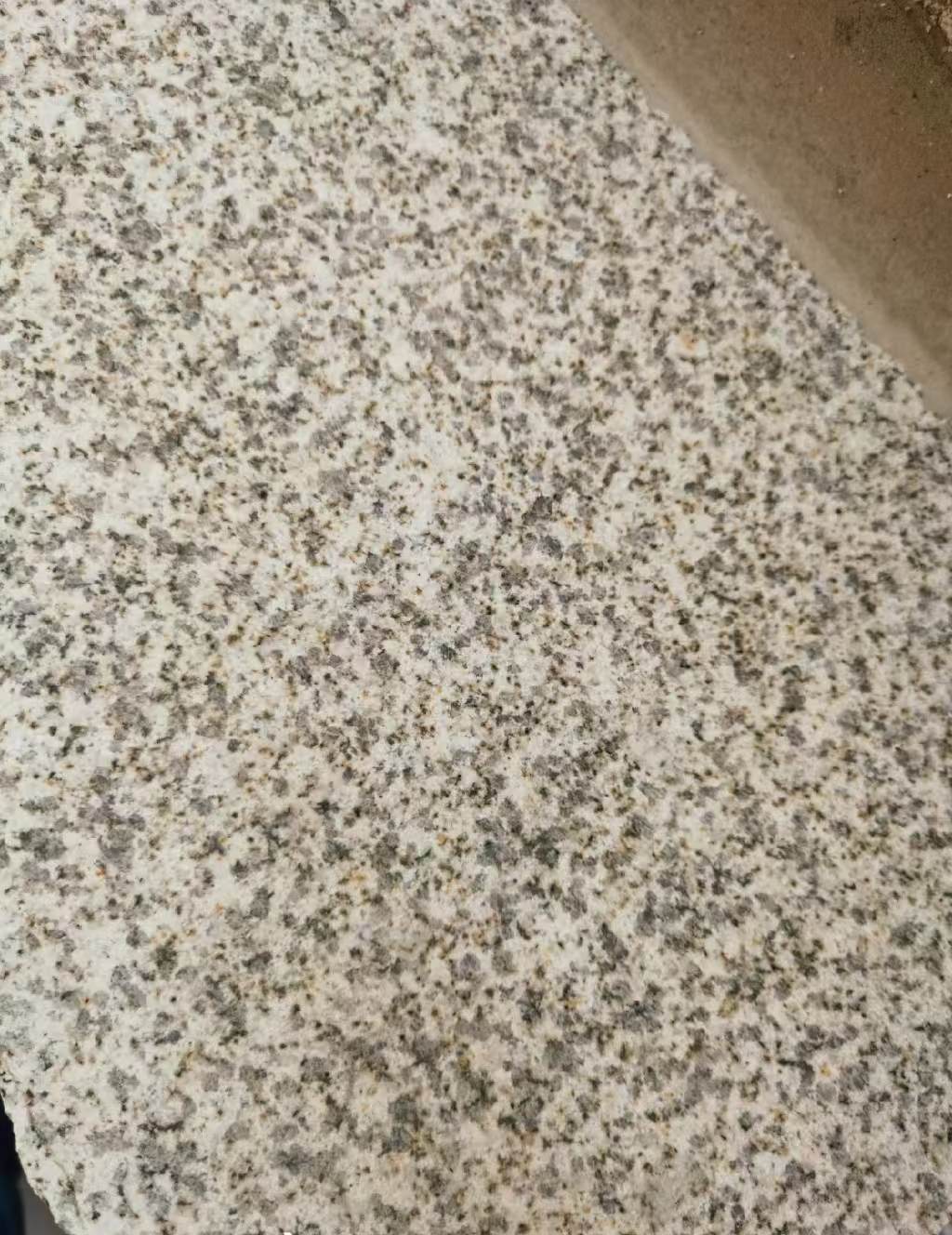 娄底 黄金麻中黄光面