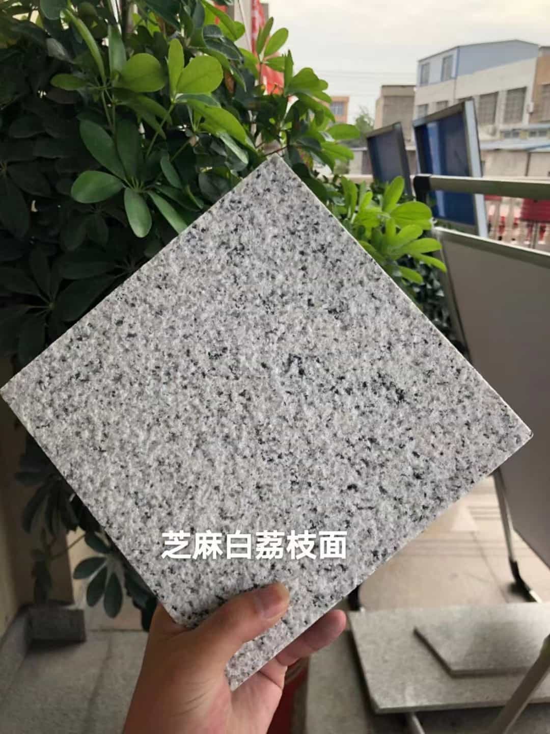 娄底 芝麻白荔枝面干挂