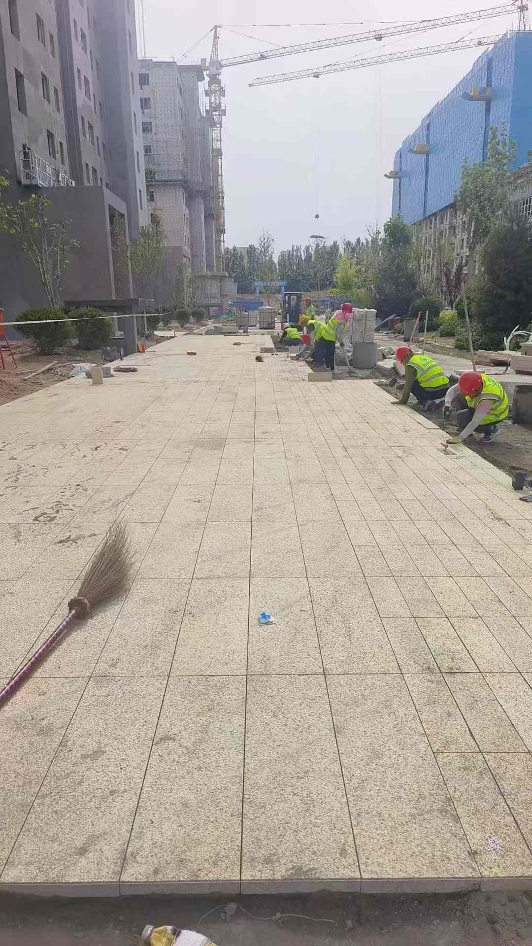 娄底黄金麻荔枝面地铺案例